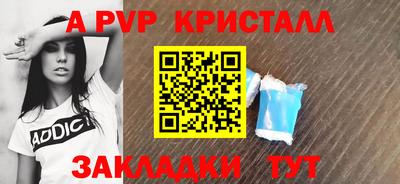 индика Гатчина