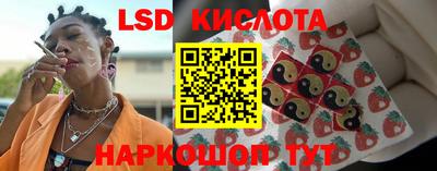 сатива Гай
