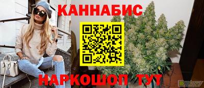 сатива Гай