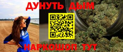 сатива Гай