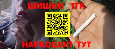 СК Гагарин
