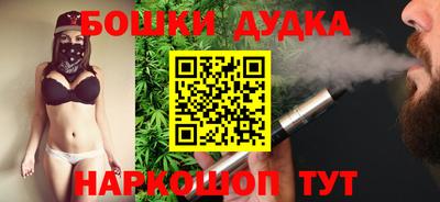 сатива Гай