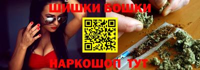 индика Гатчина