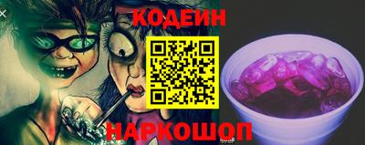 индика Гатчина