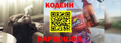 индика Гатчина