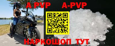 индика Гатчина