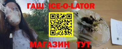 индика Гатчина