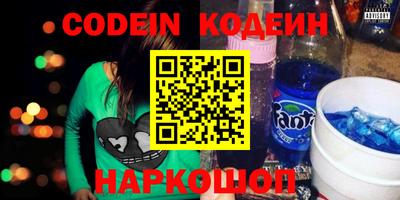 индика Гатчина